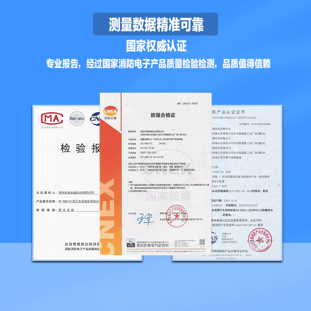 GT-9801TB/SST-9801B甲基醚氣體報(bào)警器(圖3)